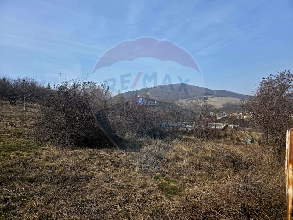 Land 1,000sqm Piatra-Neamt / Strada Pietrelor
