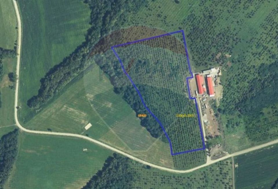 Land 70,808sqm Cuied / Drumul pp