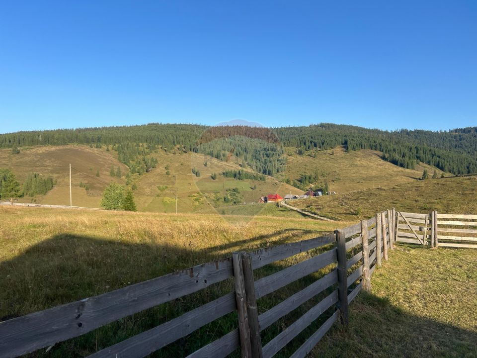 Teren+casă lemn-zona superba-Statiunea Belis-Fantanele,Giurcuta de Sus