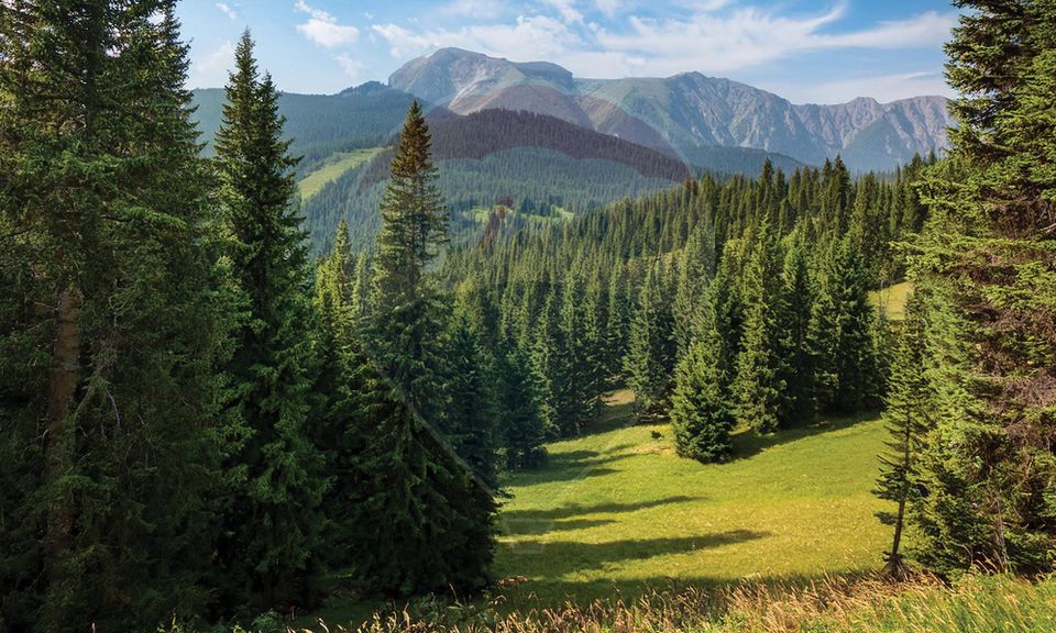 Land with Building Permit for Holiday Apartments, Poiana Brasov