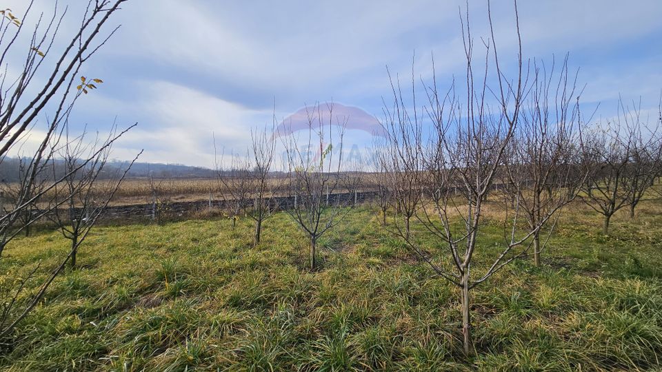 Teren extravilan 10,791mp Falticeni / Strada DJ209A, Opriseni