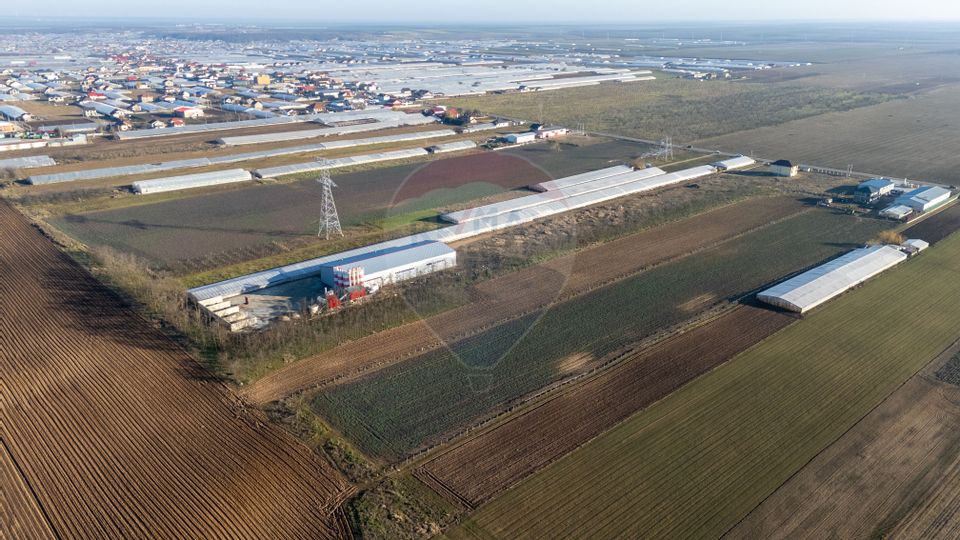 De Vanzare Afacere la cheie/Spatiu depozitare-Productie Tecuci-Matca