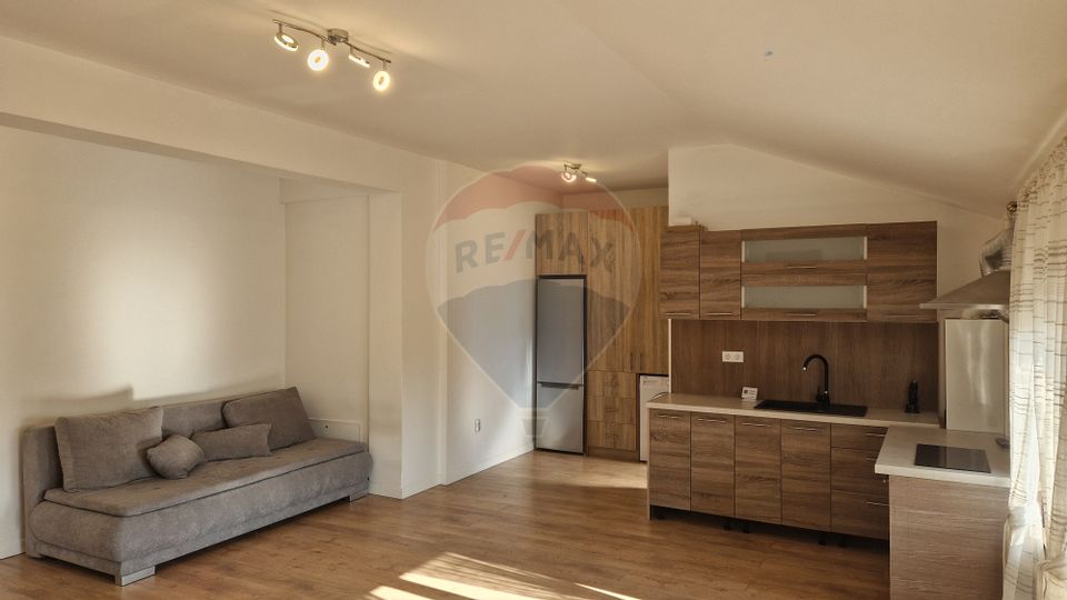 1 room Apartment for rent