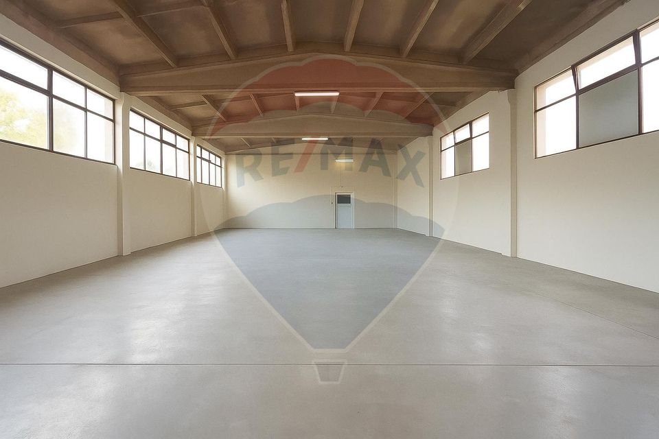 Hală de închiriat – spațiu flexibil și personalizabil