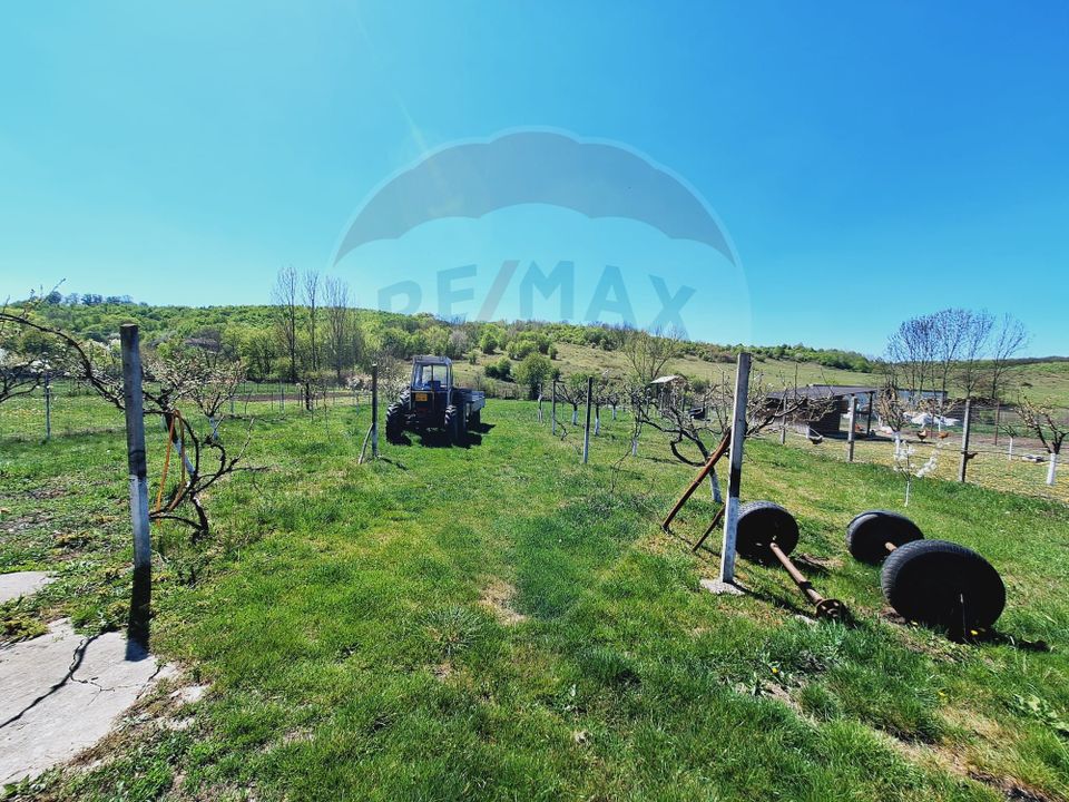 Casă / Vilă cu 5 camere de vânzare la 12-15 minute de Oradea