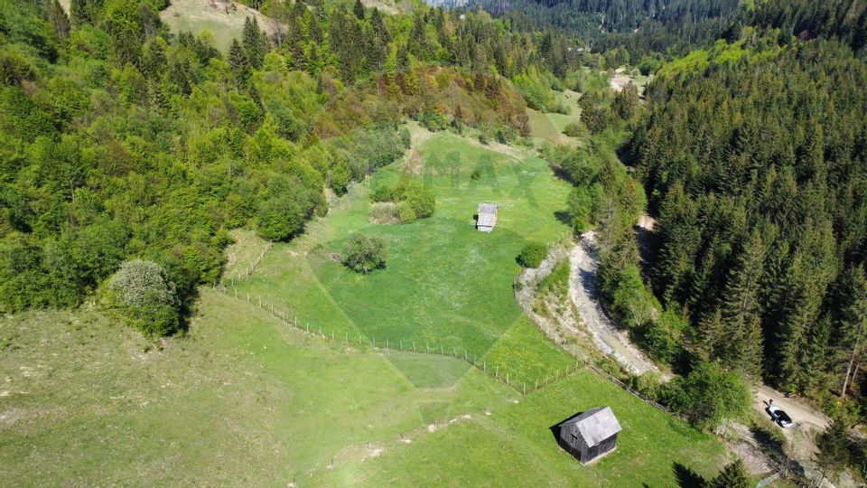 Land 12,127sqm Frasin / Drumul Forestier Valea Seacă