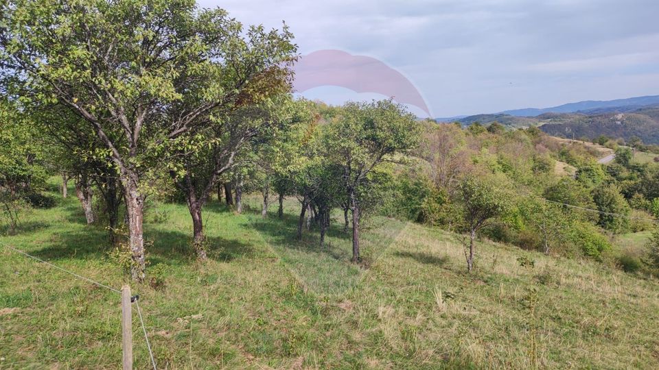 Teren intravilan constructii 3082 mp Damis Bratca drum DJ 764D