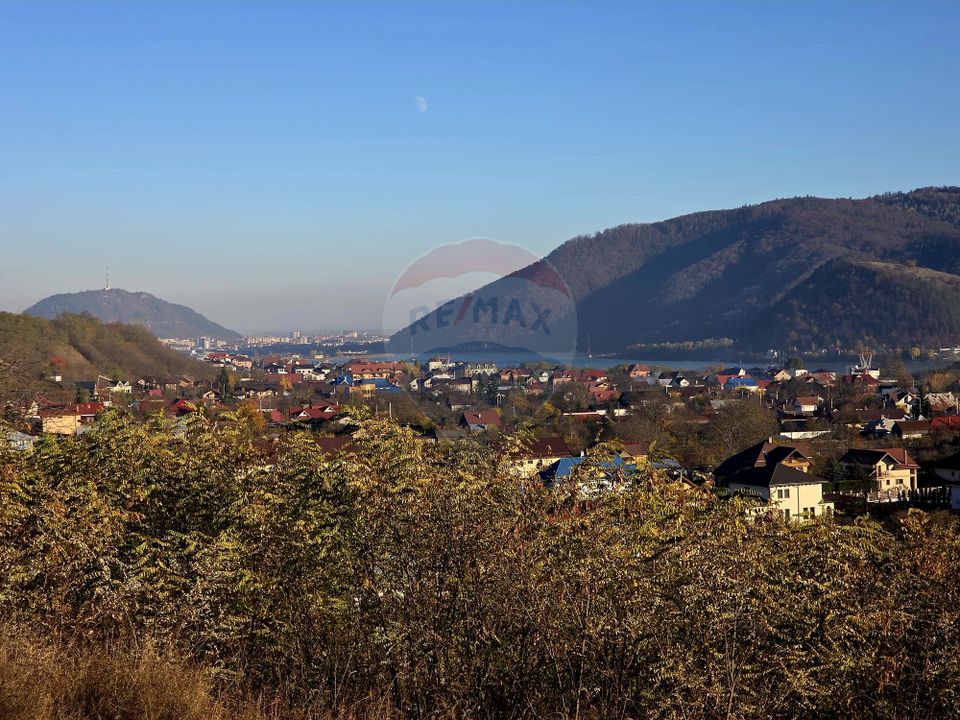 Land 6,874sqm Alexandru cel Bun / Strada plopusor