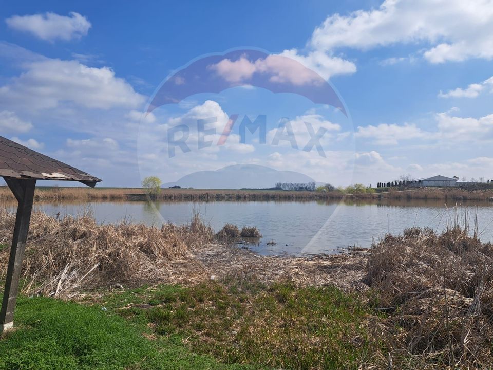 Teren 2 loturi 2000 + 5000 mp Frumusani deschidere  Lacul Pasarea