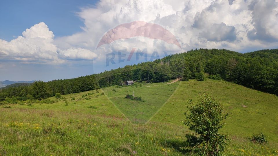 Teren 130000 mp extravilan Munteni - Bulz, Negreni