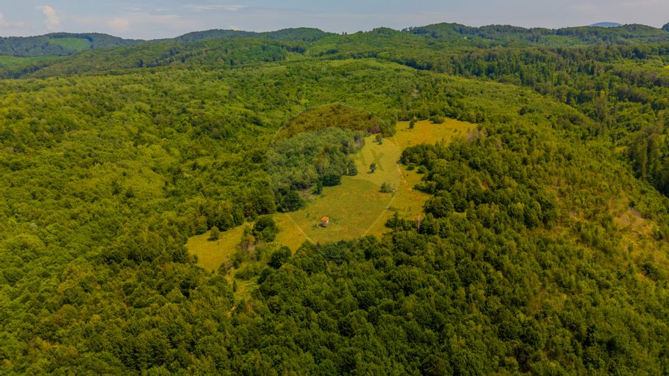 Land 981sqm Grid / Prelungirea Fara nume