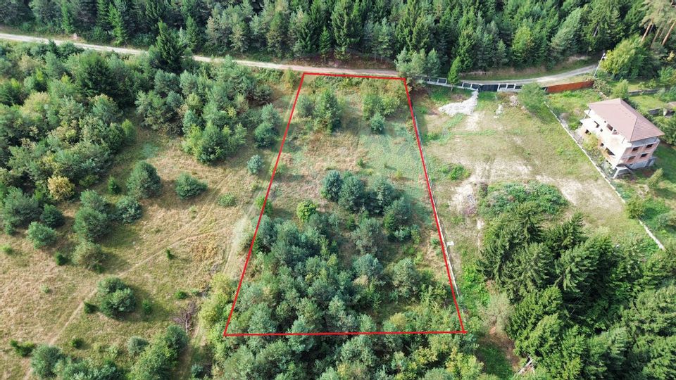 Teren Sacele / Strada Valea Larga 2000 mp