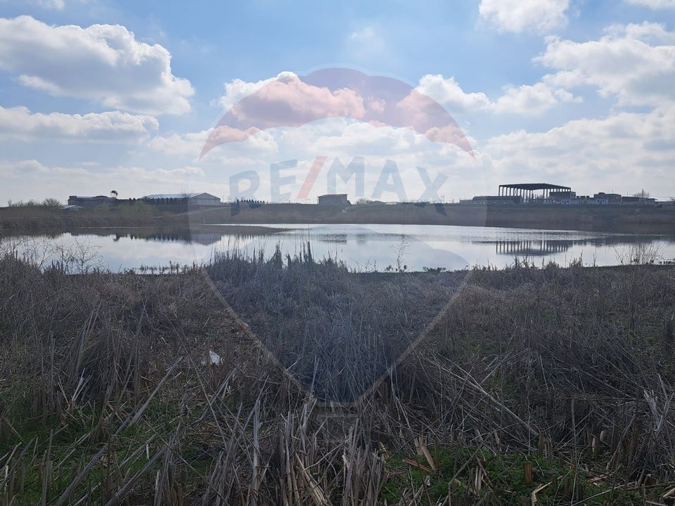 Teren 2 loturi 2000 + 5000 mp Frumusani deschidere  Lacul Pasarea