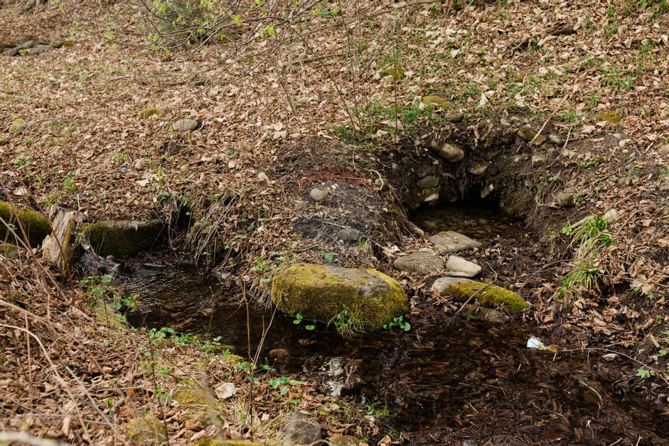 Proprietate unică în Tarcău – 30.283 mp intravilan, casă P+M