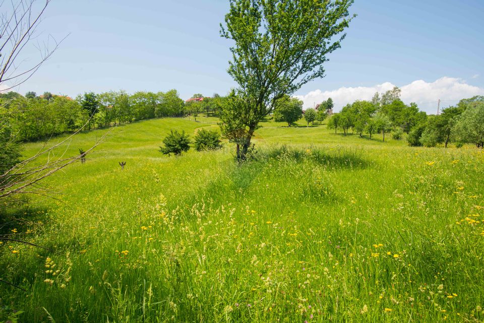 Land with utilities, 5,495sqm Bran - panoramic view, near Bran Castle