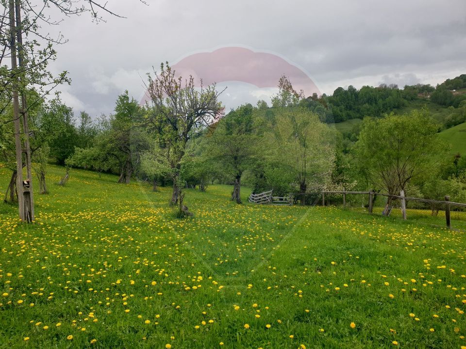 COMISION 0% | Teren 1,000mp Bran | Strada Clincea |