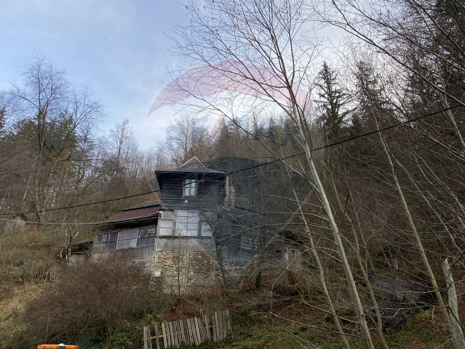 Land 1,000sqm Valea Ierii / Drumul Principala