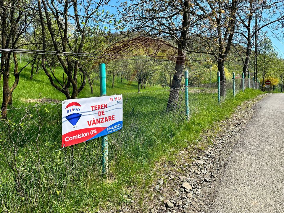 Teren 1,000mp Baia Mare / Strada Valea Borcutului