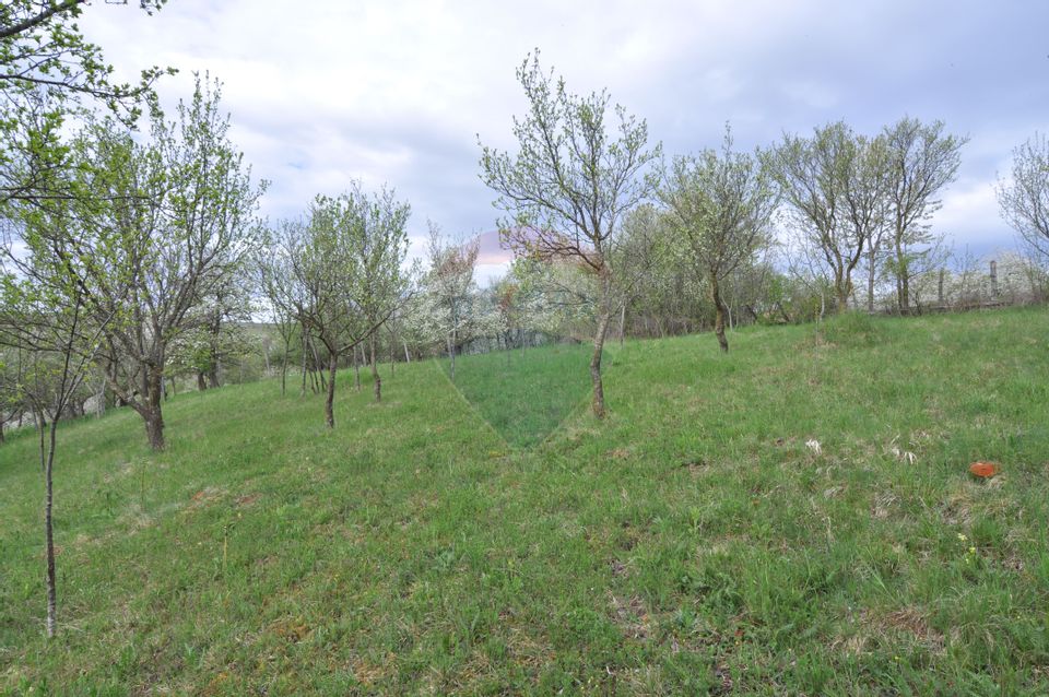 Land 2,811sqm Masca / Strada Principala