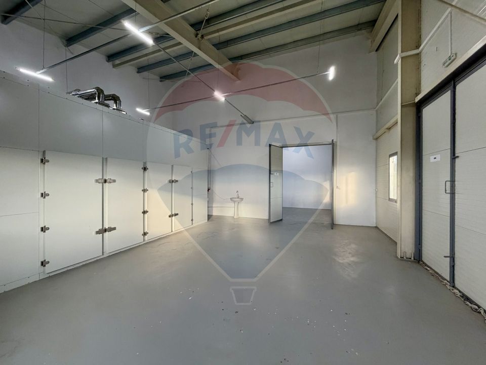 Teren agricol 13,1 ha + Hală 700 mp + Utilaje Agricole - Piscu, Galati