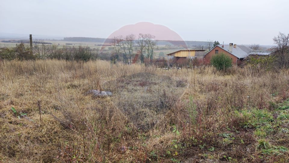 Loc de casa si teren cultivat cu vita de vie 1,28 Ha Santimreu Bihor