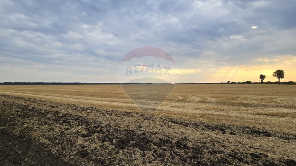 Teren intravilan Buftea, langa Padurea Mocanului