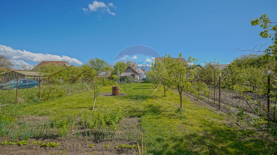 Spatiu Comercial/Afacere si casa de vânzare/zarnesti/Brasov