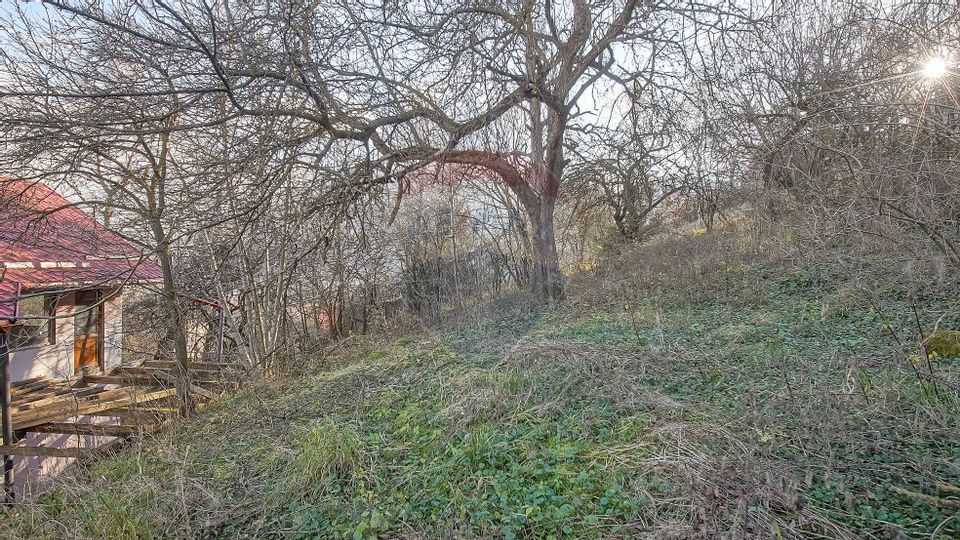 2 room House / Villa for sale, Schei area