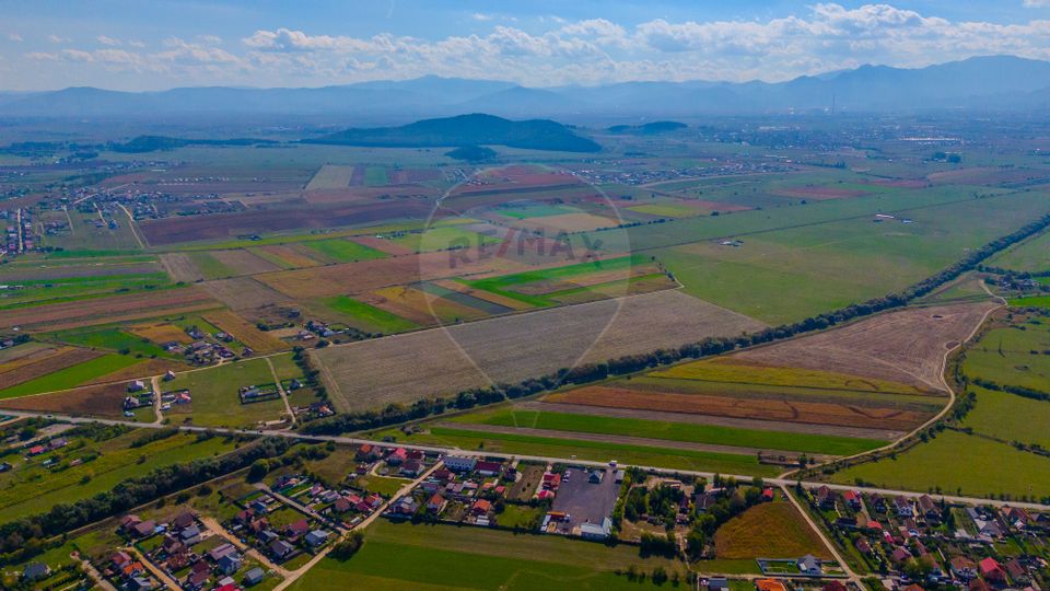 Teren 10,000mp Bod/Extravilan