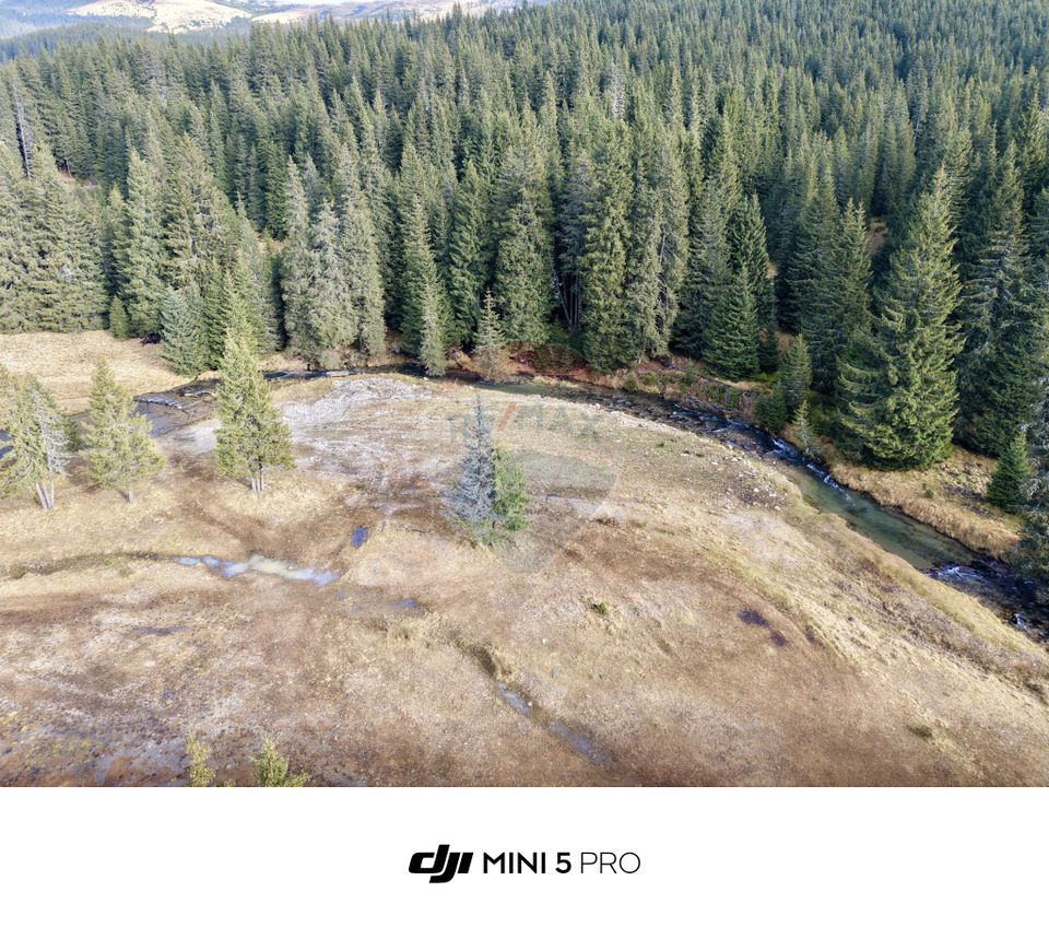 Teren de vanzare - 5000 mp - Peștera Padina