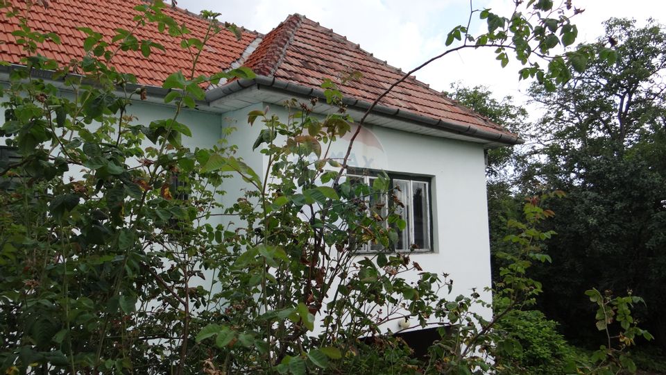 EXCLUSIVITATE! Vânzare casa cu 3 camere in Andrei Muresanu