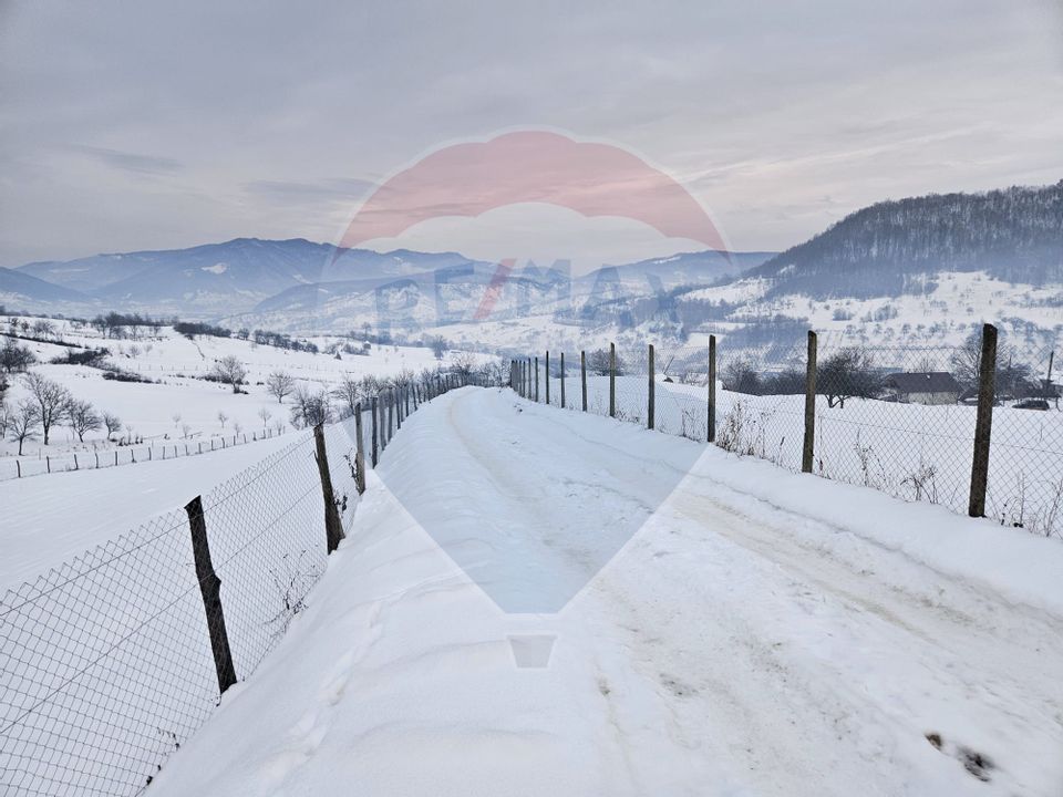 Teren 4,301mp Barsana / Strada Principala