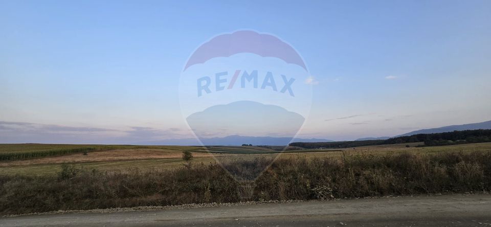 Land 500sqm Selimbar / Drumul fn