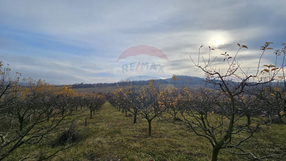 Teren extravilan 10,791mp Falticeni / Strada DJ209A, Opriseni