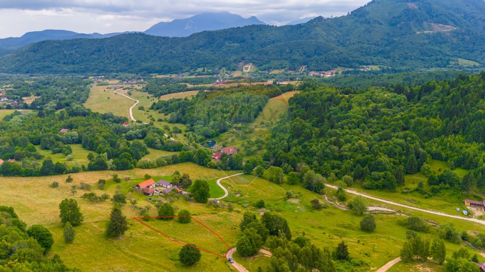 Land 2,410sqm Rasnov / Strada Valea Panicelului FN