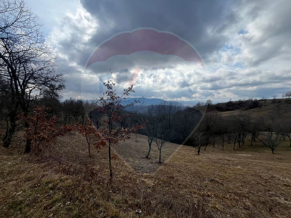 Teren Preluca Veche