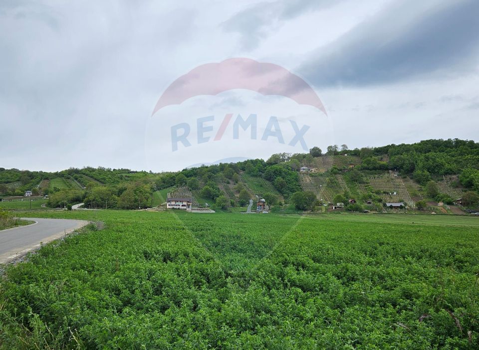 Land 3,546sqm Cristian / Strada Noua