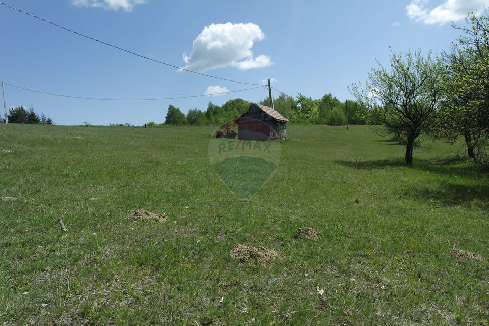 TEREN DE VÂNZARE ÎN PRELUCA NOUA