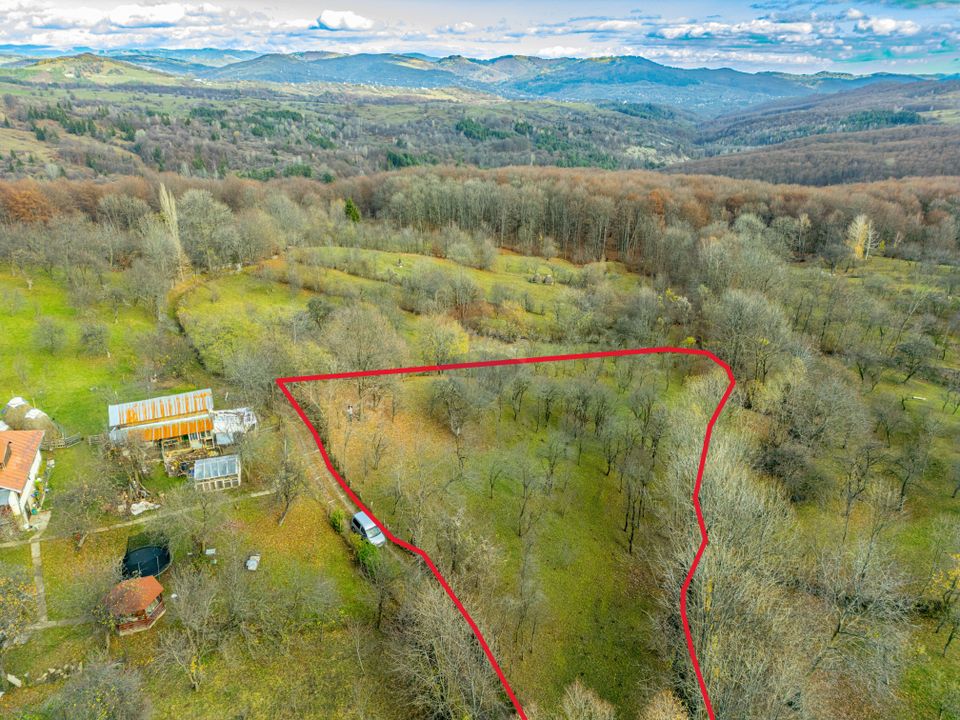 Urban land 4384 sq m – Talea commune, Prahova county