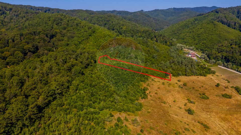 Land 6,000sqm Crizbav / Strada principala