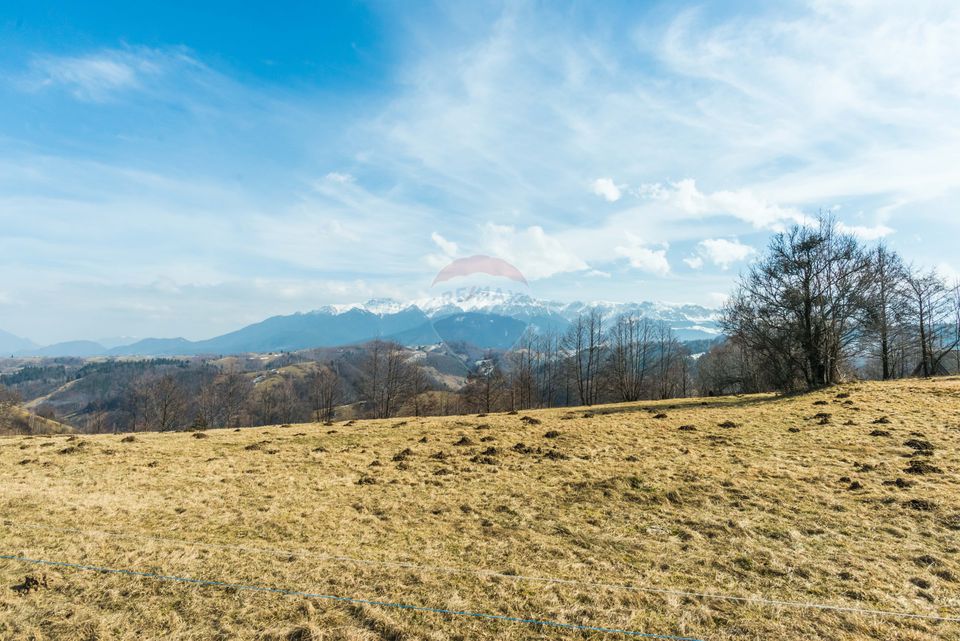 Comision 0%! Teren Moieciu de Jos 1500 mp