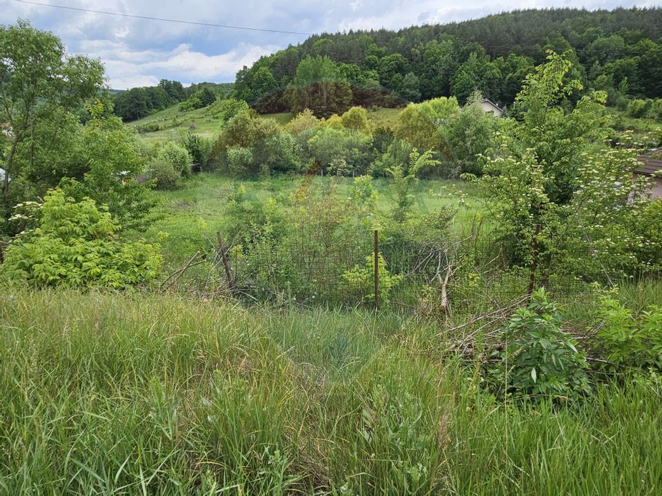 Land 7,797sqm Podis / Calea Moinesti