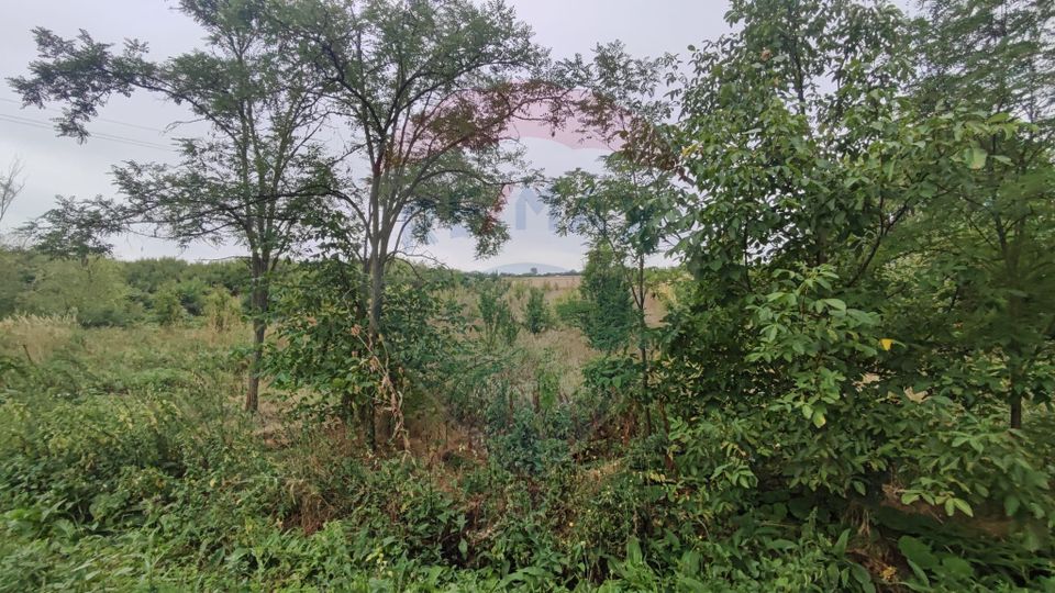 Teren 2.341 mp Uileacu de Munte front 26 ml la drum asfaltat