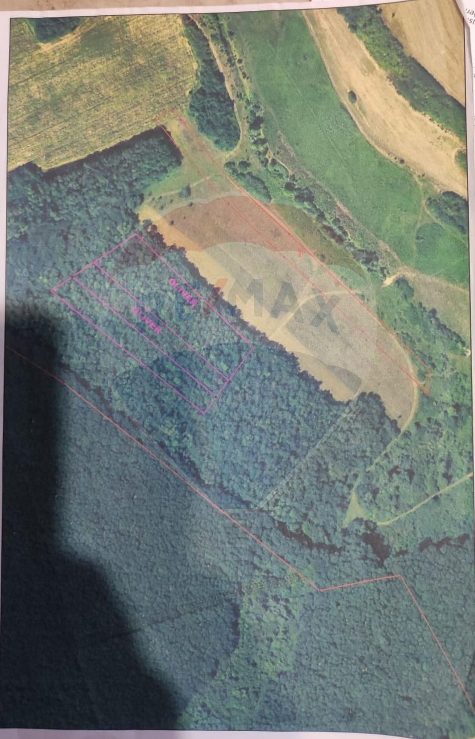 Teren forestier 15,618 mp Santimreu / com. Salard