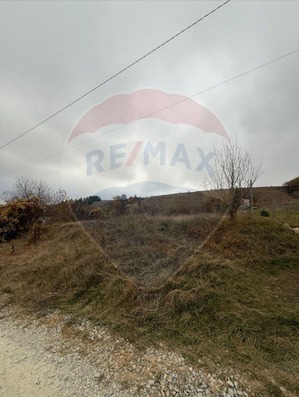 Teren intravilan de vânzare 2.307 mp – Sălicea, comuna Ciurila