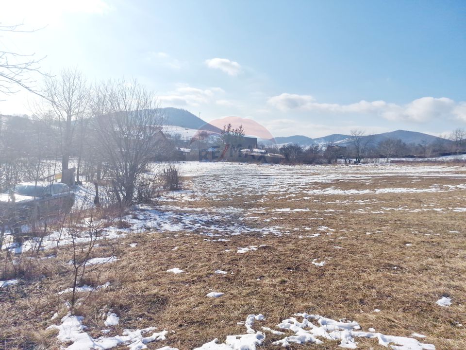 Teren 2,344mp Garcina / Aleea Coasta lui Bojoaga