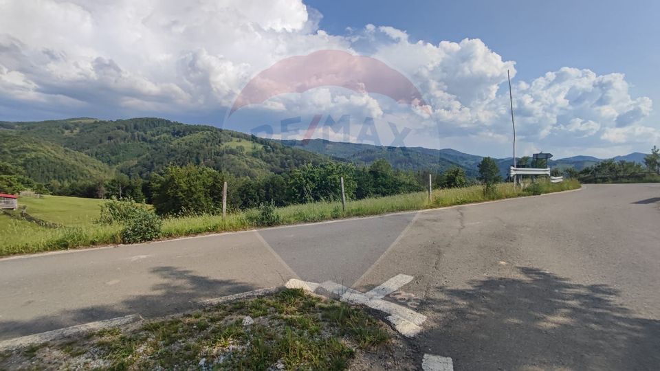 Teren 130000 mp extravilan Munteni - Bulz, Negreni