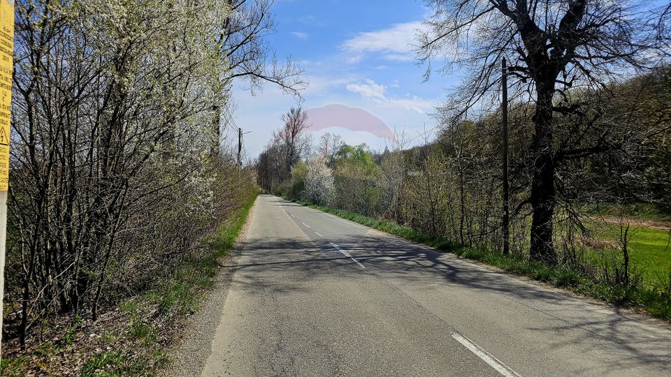 Land 10,000sqm Nemtisor / DJ 155C