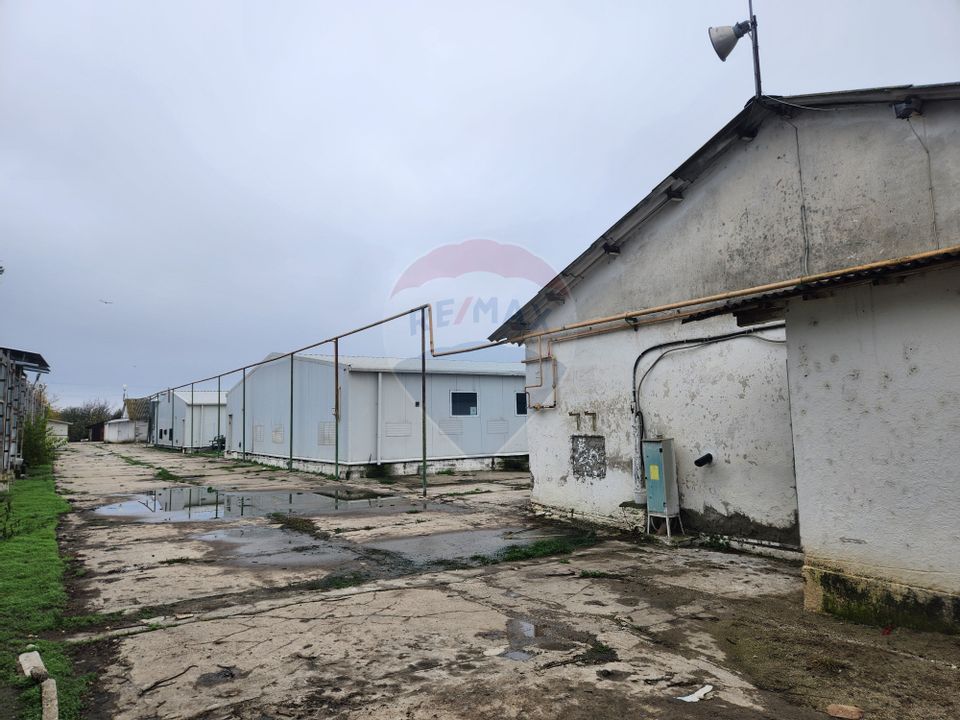 Hala depozitare sau productie Ciorogarla | Darvari 2.9 E/mp