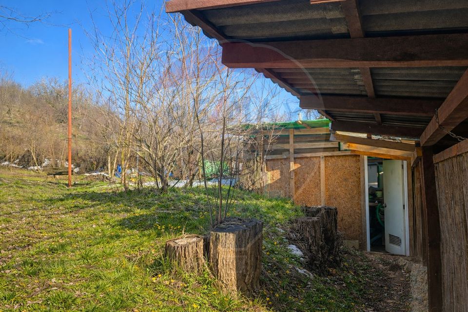 Popasul Căprioara – oportunitate de business în horeca & turism